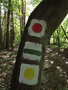 hiking trails, signpost, mark, waymarks, forest, nature