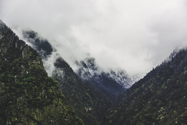 Nebel, bedeckt, Berg, Peak, Wolke, Schnee, Baum