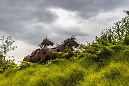 scultura, cavalli, giardino, Giardini, Lleida, cavalli di ferro, metallo