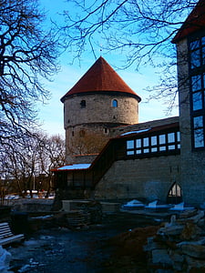 Torre, rosso, vecchio, parete, centro storico, Tallinn, Estonia