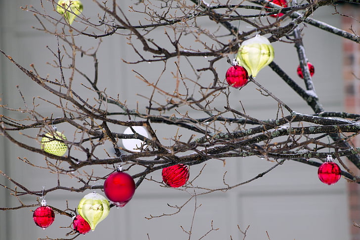 ornament, auksti, koks, ziemas, apdare
