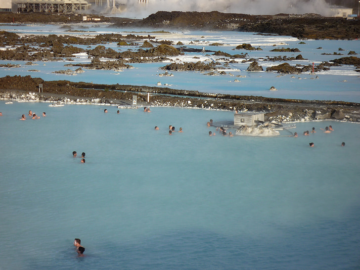 Islanti, Luonto, sininen laguuni, lintu, vesi, Sea