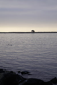 フンボルト湾, 灰色の日, ローンツリー