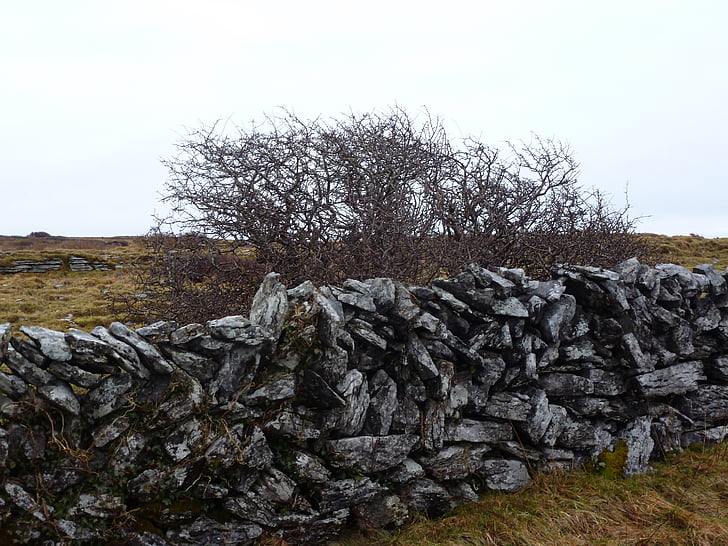 kivi, Wall, Burren, Irlanti, ruskea, harmaa, Luonto
