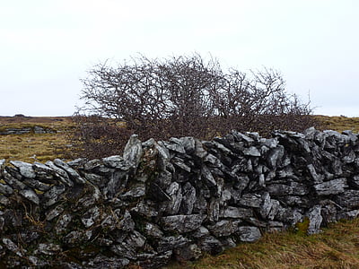 sten, väggen, Burren, Irland, brun, grå, naturen