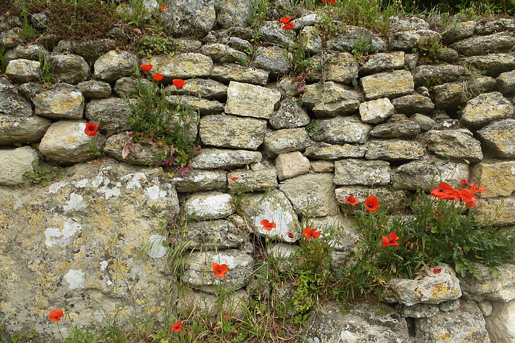 стена, камъни, тухлена стена, фон, Стара стена, разпадна стена, растения