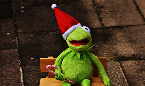 Кермит, лягушка, Рождество, колпак Санта-Клауса, мило, смешно, время Рождества