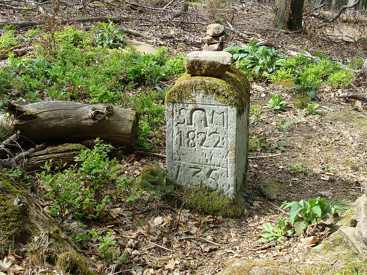 Schafkopf, bosc palatí, pedra de límit, punt de referència, pedra, signe, símbol
