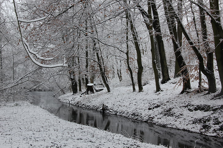 winter, snow, wintry, nature, cold, river, frost