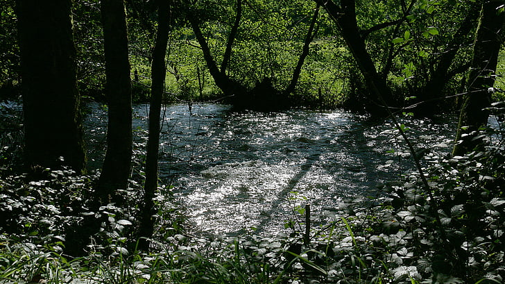 Rzeka, refleksje, światło, cieków wodnych, Natura, refleksy światła, kontrast