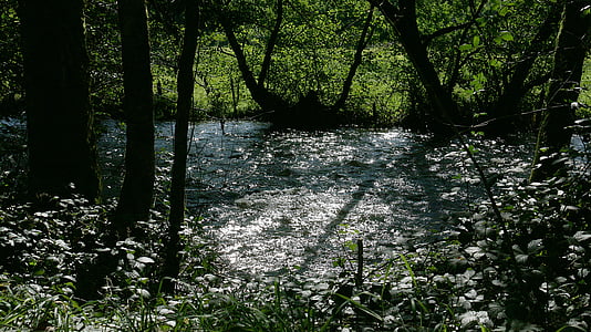 rivier, reflecties, licht, waterlopen, natuur, lichtreflecties, contrast