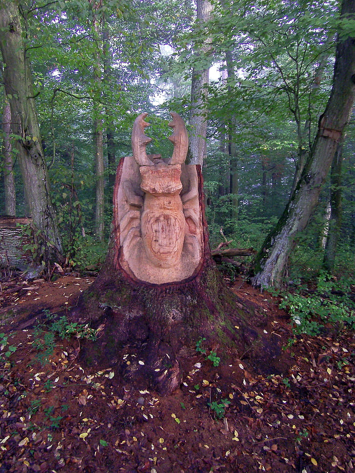 skog, bille, Stag beetle, natur, kunstverk, kunst, carving