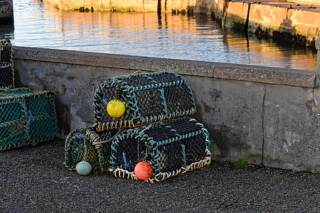 fishing, creel, equipment, net, water, basket, sea