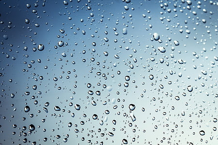 droplets, drops, drops of water, transparent, water