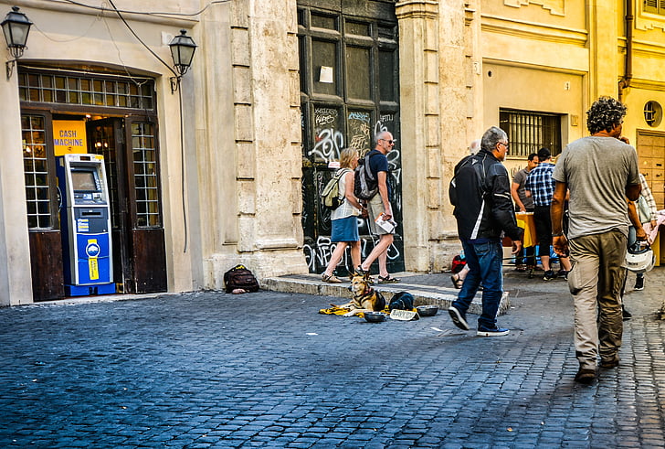 rome, trastevere, city, urban, italian, dog, beggar