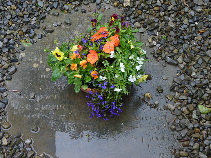 piedra sepulcral, flores, Cementerio, decoraciones florales