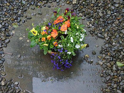Pierre tombale, fleurs, cimetière, décorations florales