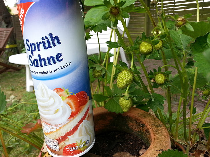 strawberries, cream, food, strawberry, sweet, fruits, fruit