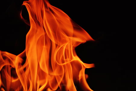 llama, ascuas, fuego, caliente, quemar, fogata, madera