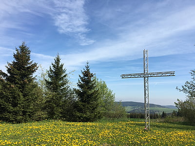 cruce, pădure, YMCA, hoheneiche, verde, creştinism, flori