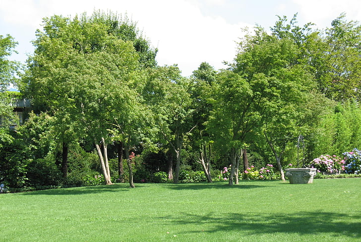 Беловска Градина, пейзаж, дърво, растителна, Rapperswil, дървета, трева