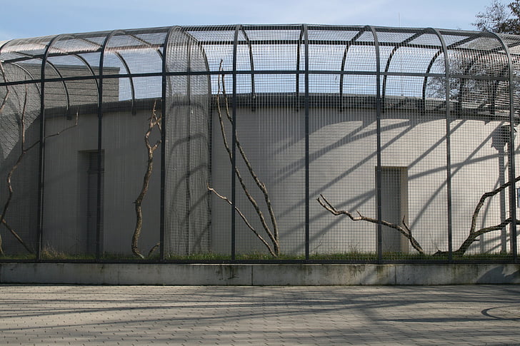 cage, zoo, enclosure, imprisoned, captivity, grid