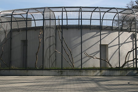 gàbia, zoològic, recinte, empresonat, captivitat, quadrícula