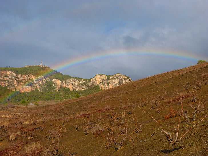 Rainbow, vingård, landskap, Priorat