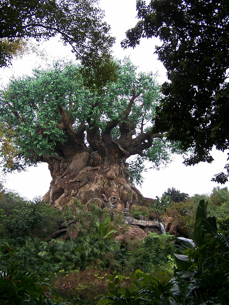 elämänpuu, eläinkunta, Disney