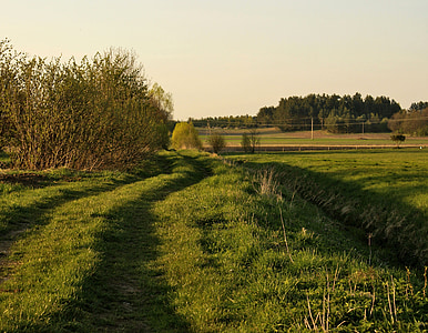 Lane, weide, veld, dorp, groen, natuur, landschap
