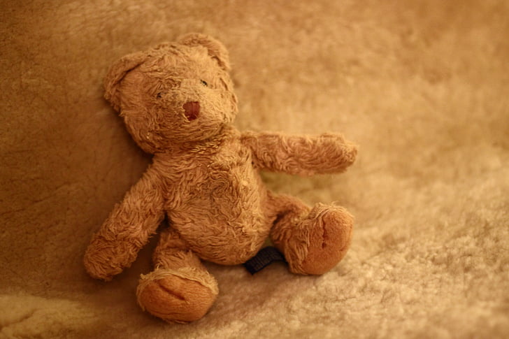 teddy bear, stuffed animal, teddy, children, children toys, play, light brown
