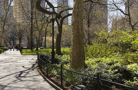 parku, New york city, NYC, Manhattan, městský, město, Centrum města