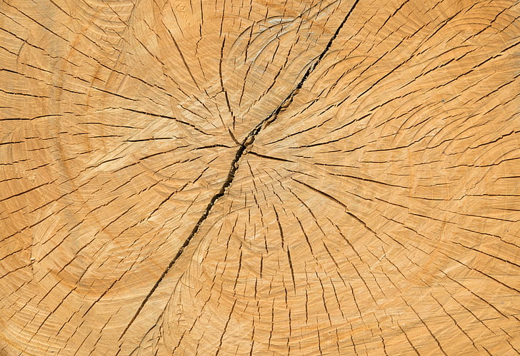 дървен материал, пукнатини, структура, стар, фон, природата, кафяв