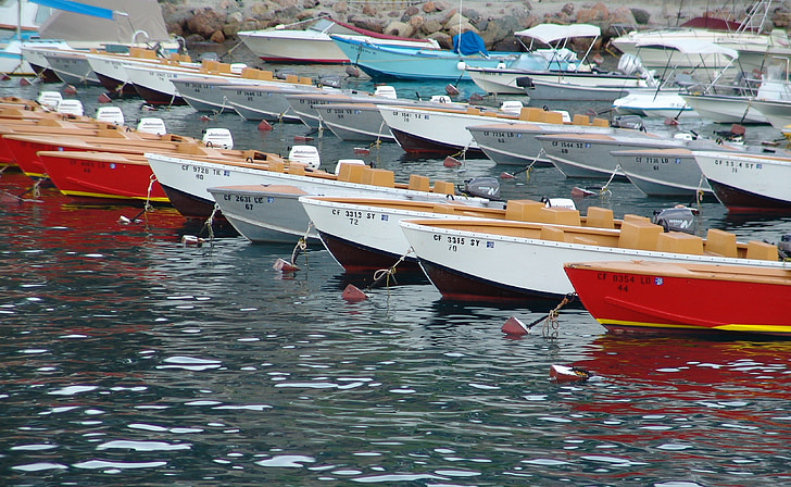 csónakok, parkolás, sziget, Catalina, California