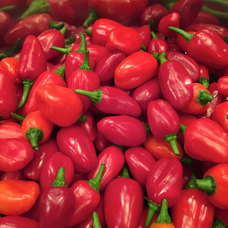 hot peppers, chili, hot, spices, vegetable, food, red