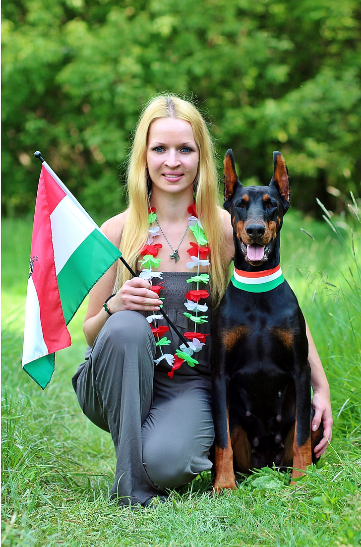 Hongaarse fans, ze zijn leuk, Dobermann, blonde vrouw, liefde