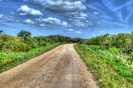 kelias, kelių, kelionės, Kanaveralo kyšulys, Kanaveralo nacionalinė pajūrio, dangus, žolės
