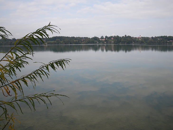 jezero, Pilsensee, nachází, plavání, Příroda, strom, voda