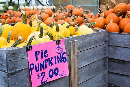 pumpkins, autumn, fall, pie pumpkins, autumn background, harvest, vegetable