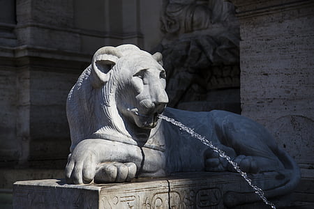 statula, Italija, Roma, Liūtas, mūras, akmuo, skulptūra