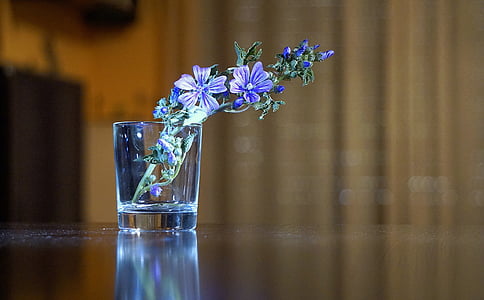 Blumen, Blau, blaue Blume, Wilde Blume, Frühling, Schönheit, Detail