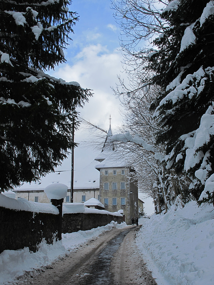 neu, l'hivern, Abbaye de tamié, silenci, muntanya, paisatge d'hivern, branques cobertes de neu