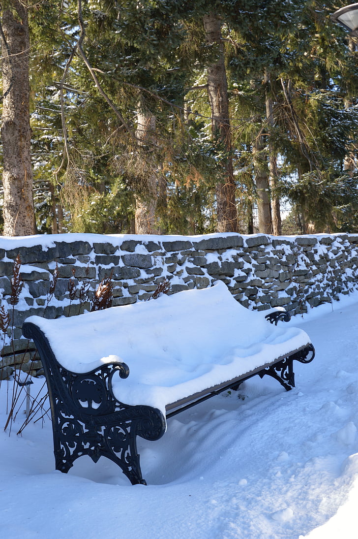 bench, winter, season, seat, cold, snow, outdoor