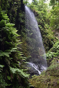 vattenfall, naturen, djungel, skogen