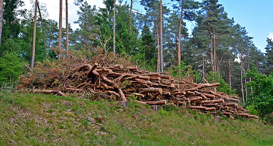 kayu, holzstapel, industri kayu, strain, kayu, pohon, kayu bakar