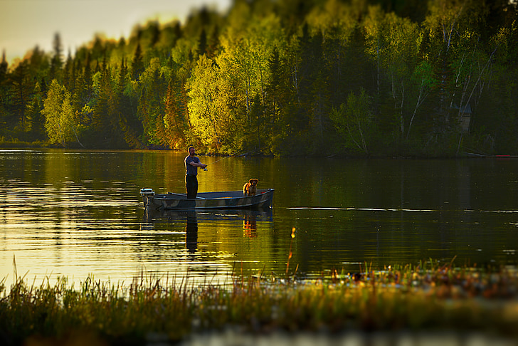 fisherman, lake, landscape, water, tree, dog, québec