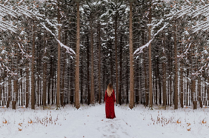 女性, 赤, ドレス, ウォーキング, フォレスト, 木, 雪