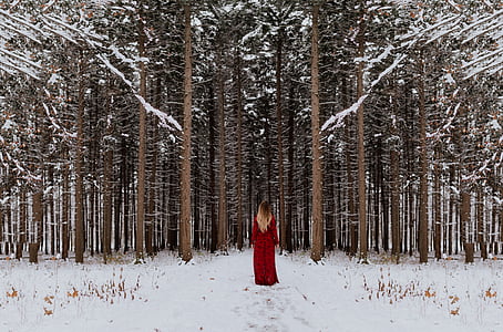 mulher, vermelho, vestido, caminhando, floresta, árvores, neve