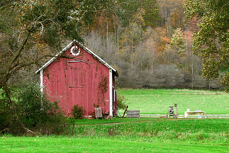 schuur, rood, rode verf, Amish, platteland, groen gras, veld