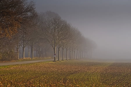 landscape, fog, nature, mood, autumn, dusk, sky